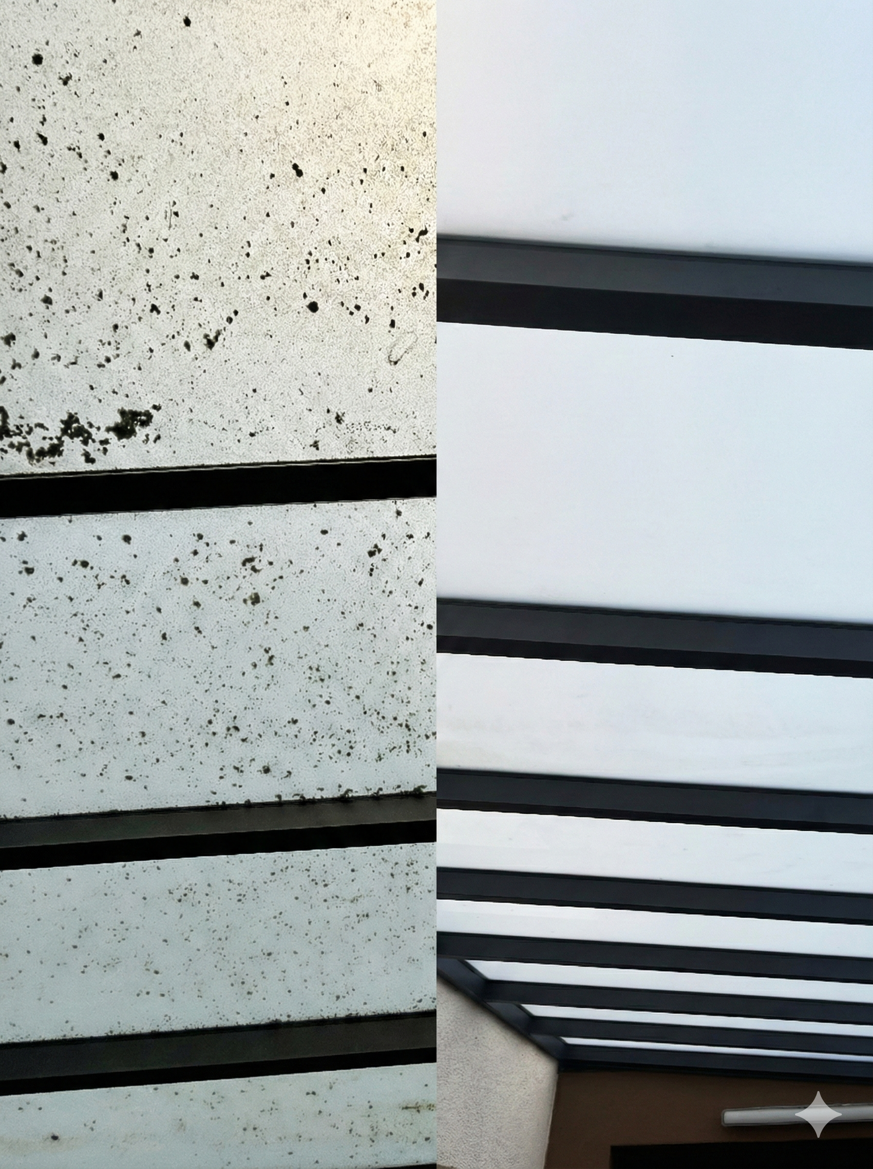 Reinigung Referenz 2