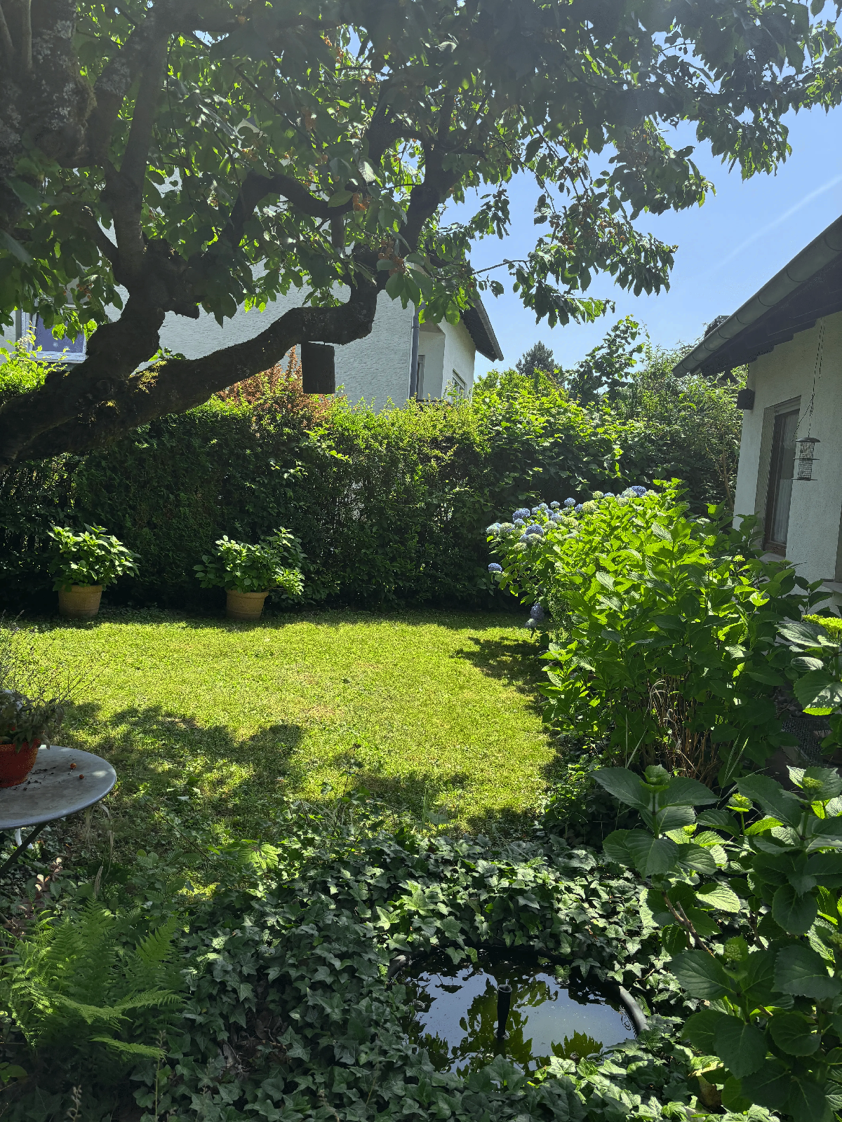 Rasenpflege